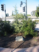 Judge John D. Blain Memorial